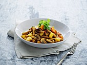 Vegetable stew with beef, mushrooms and pasta on a plate