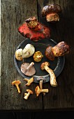 Various fresh mushrooms on a plate and on a wooden surface