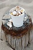 Bucket of seashells on weathered wooden post