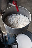 Rice flour being made (Thailand)