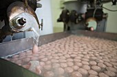 Meatballs being made in a factory, Thailand