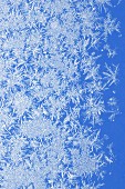Ice crystals against blue background