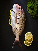 A red snapper on a black slate with lemon slices