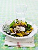 Spinach salad with peppers and mozzarella