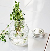 Fresh lemon thyme in a glass of water