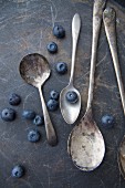 Antique spoons and blueberries (close-up)