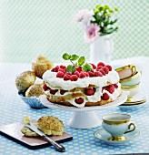Raspberry cake with vanilla quark cream on a cake stand
