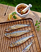 Grilled sardines with a spicy sauce