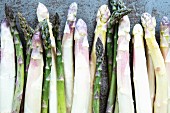 Rows of green and white asparagus