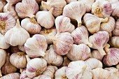 Bulbs of garlic (full frame)