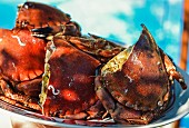 Stuffed crabs