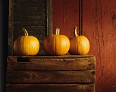 Three pumpkins on a wooden crate