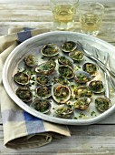 Clams with herbs and white wine