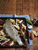 Marinated salmon trout with vegetables on a baking tray