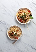 Fried noodles with chicken and pepper (Asia)