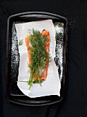 Pickled salmon with salt and dill