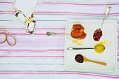 Mehrere Löffel mit hausgemachten Marmeladen auf weißem Teller mit Etiketten und Zubehör auf Picknickdecke