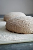 Two balls of dough for sourdough loaves, sprinkled with flour