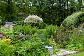 Dicht bewachsener Garten mit Büschen und Farnen in Sommerstimmung