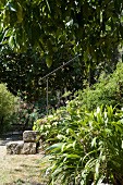 Foot of stone steps with iron handrail in densely planted, Mediterranean garden