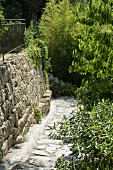 Paved path on slope with stone wall to one side in Mediterranean garden