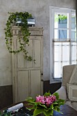 Zimmerefeu in Zinkgefäss auf antikem Schrank mit Patina, Bouquet mit Blättern und Blüten auf Tisch im Vordergrund