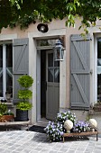 Blühende Hornveilchen auf Vintage Blumenbank vor restauriertem Landhaus mit grau lackierten Fensterläden