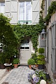 Potted plants in paved courtyard and climber-covered façade of restored country house with grey shutters