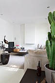 Sofa, black side table, coffee table and large potted cacti in elegant lounge area