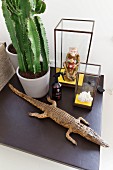 Still-life arrangement of stuffed crocodile, miniature glass cases and potted cactus on black tile