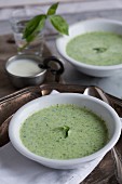Basil and soured milk soup