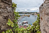 Blick von Sinops Festung in den Hafen mit angelegten Booten, Türkei