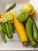 Verschiedene Zucchinisorten