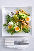 Gartensalat mit weich gekochten Eiern und Toaststreifen