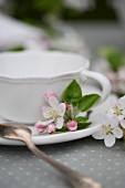 A cup of tea decorated with apple blossom