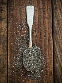 Chia seeds on a silver spoon (seen from above)