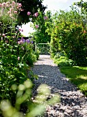 Kiesweg in sommerlichem Garten mit blühenden Blumen, im Hintergrund filigranes Gartentürchen aus Metall