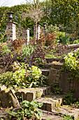 Sloping garden with paved steps and retaining wall