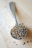 Cumin seeds on a silver spoon