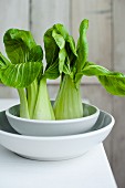 Two bok choy in a ceramic white bowl on a table