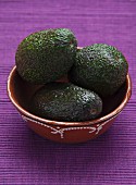 Three avocados in a ceramic bowl