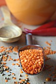 Red lentils in a metal scoop