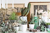Variety of cacti and succulents and white candles in candlesticks