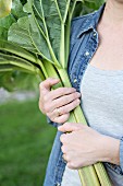 Woman holding bunch of freshly picked rhubarb