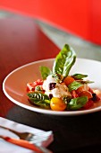 Caprese salad from a restaurant in James Street, Brisbane