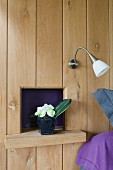 Wood-clad wall with potted plant on wall bracket in front of small niche below sconce lamp