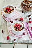 Joghurt mit Granola und Himbeeren