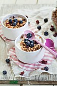Yogurt with Muesli and Blueberries for Breakfast