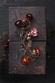 Dried everlasting flowers on rusty panels