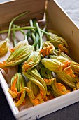 Courgette flower in a wooden box